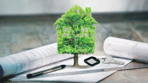 Экспертиза экологических решений в области интеллектуальных проектов и ландшафтного дизайна